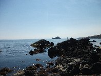 Capomulini